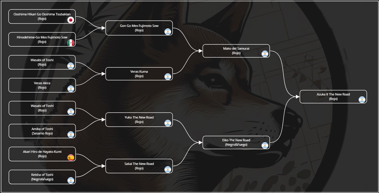 Pedigree Shiba Inu Asuka Inugami Kingdom