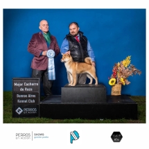 Asuka Criadero Inugami Kingdom