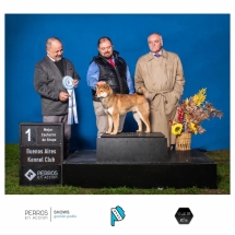 Shiro Criadero Inugami Kingdom